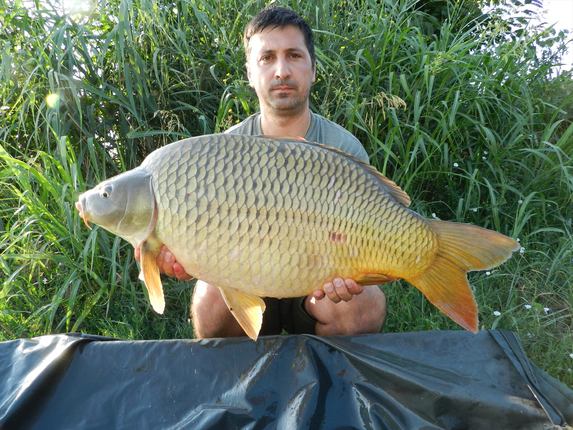 2015/iulie capturi - dscn4052.JPG